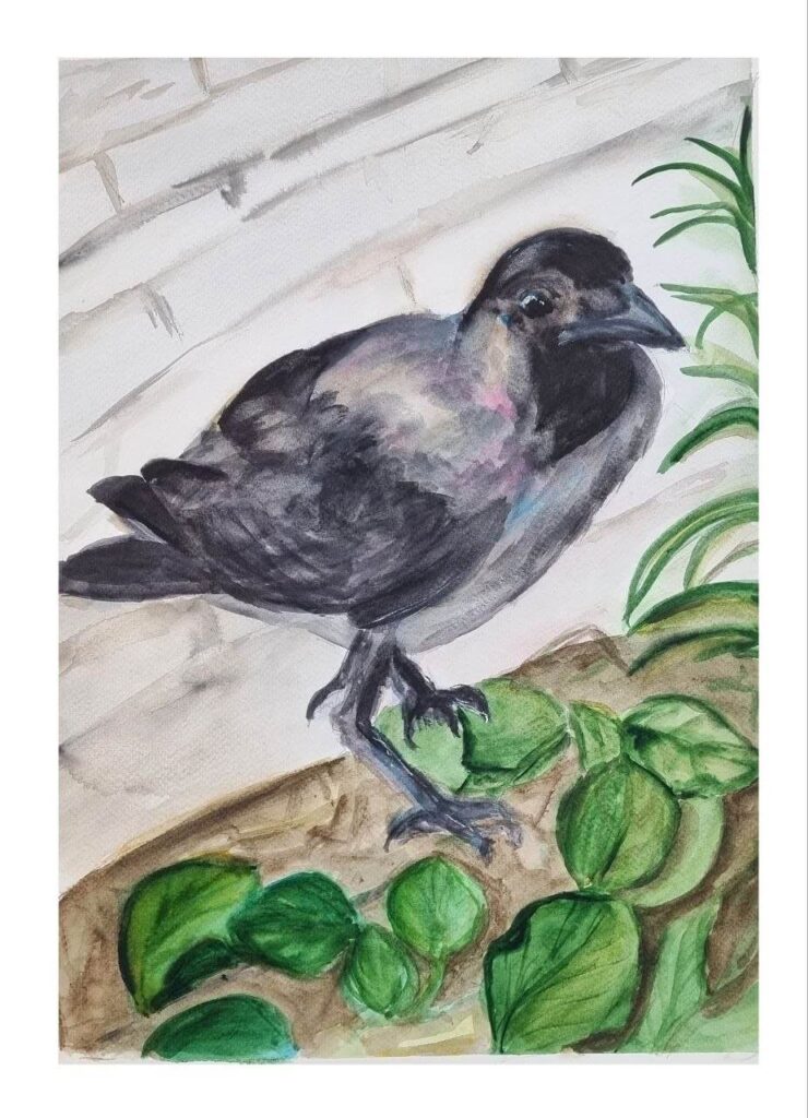 Crow Watercolor on 100% cotton paper