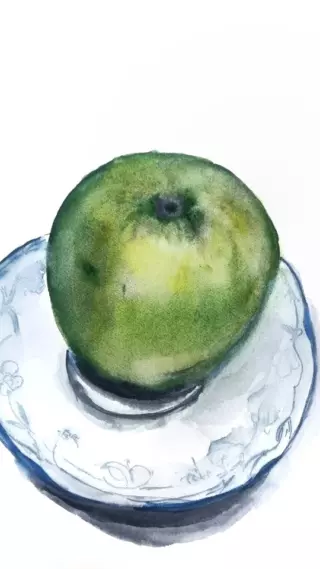 ציור תפוח בצבעי מים 🌿🍎
רגע קטן של יצירה שממלא את הנפש. במכחול עדין ובשכבות שקופות, הופך התפוח הפשוט ליצירת אמנות חיה וצבעונית.
מתאים גם למתחילים – רק צריך סבלנות, קצת דמיון, ואהבה ליצירה.
מה אתם הייתם מציירים היום? 🎨"

#WatercolorPainting #ArtReels #PaintingProcess #WatercolorApple #CreativeJourney #DIYArt #StepByStepPainting #ArtInspiration #ArtistLife #PaintingTutorial #WatercolorArt #AppleArt #LearnToPaint #DailyArt #ExpressYourself